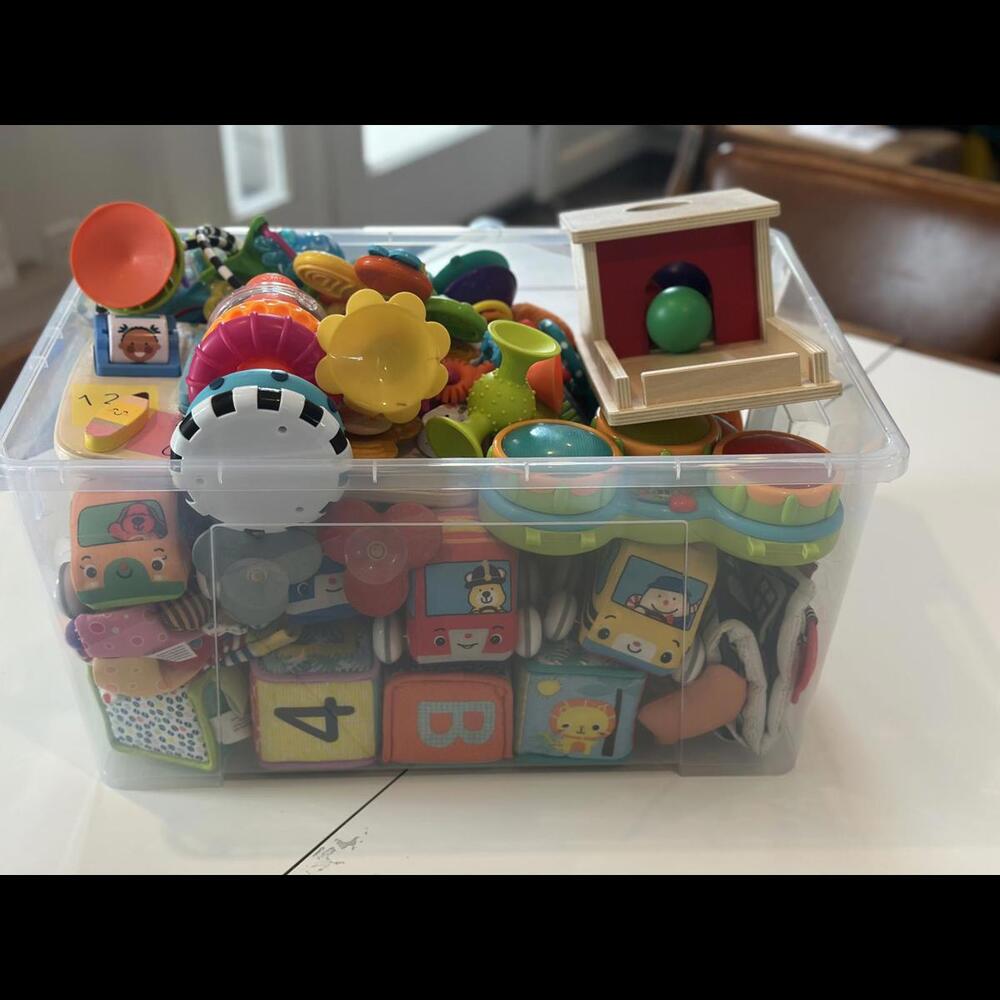 Infant Toy Bundle - 0-12 months
